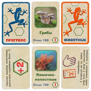 Разноцветный