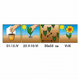 Разноцветный