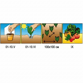 Разноцветный