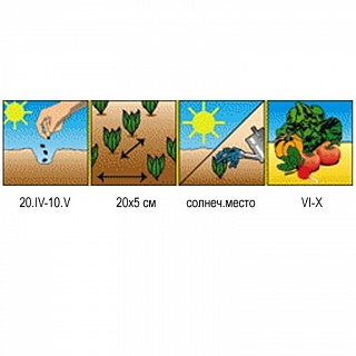 Разноцветный